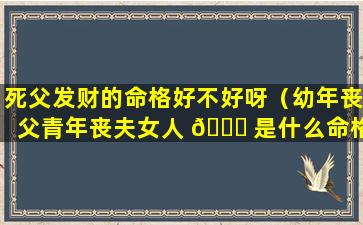 死父发财的命格好不好呀（幼年丧父青年丧夫女人 🐘 是什么命格）